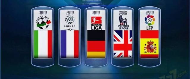 年轻球迷的 年轻球迷的